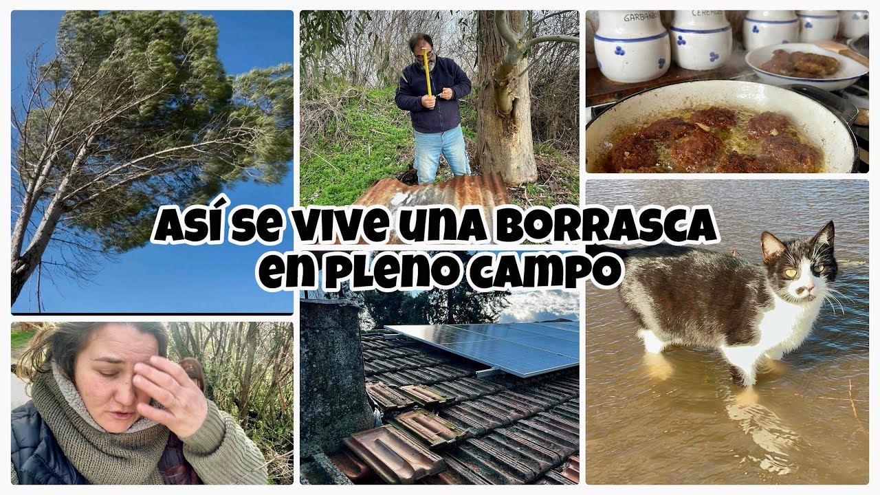 #215🏡 Así se vive una borrasca en pleno campo 🤯/Bomba de agua SeeSii a bateria🤩/Brico👍/Receta😋