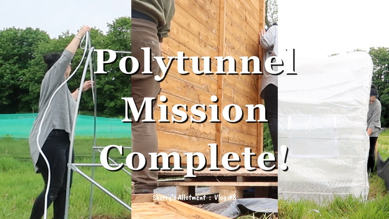 Polytunnel Complete & Building A Summer House ⛥ UK Allotment Vlog #8 ⛥ May 2024 ⛥ Sherry's Allotment