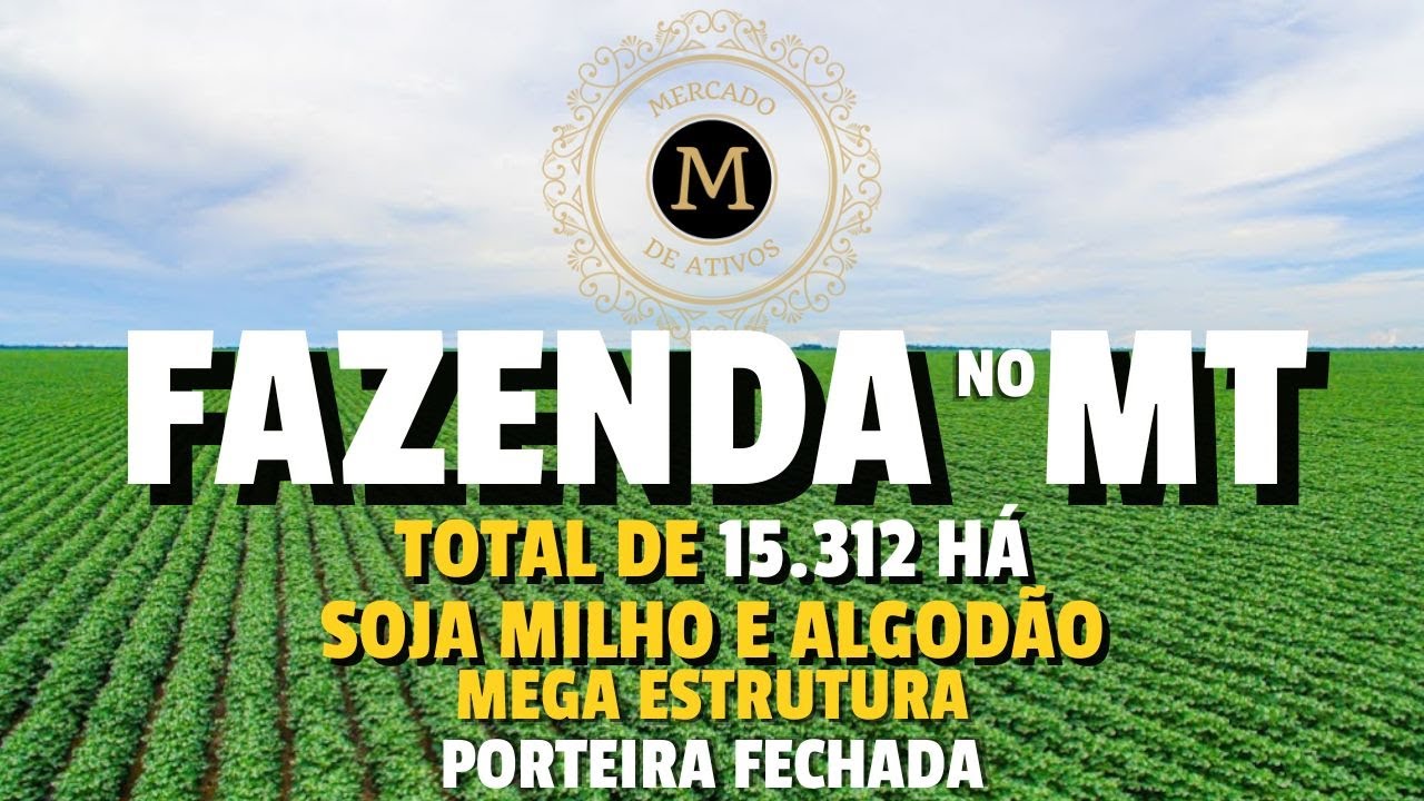 MEGA FAZENDA PRODUTIVA EM MT COM 15.312 HÁ ESTRUTURADA PARA SOJA ALGODÃO E MILHO - MercadodeAtivos
