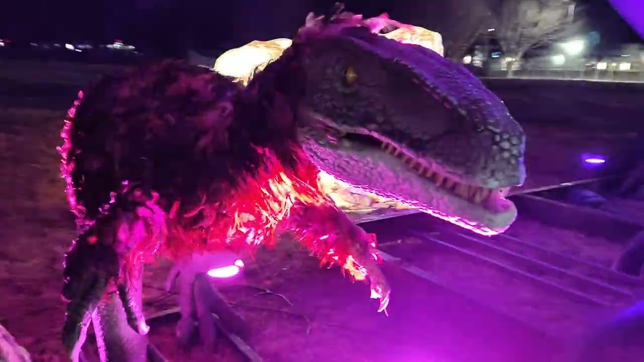 We went to the Luminocity in Gaithersburg, the entire area was full of different colored items 