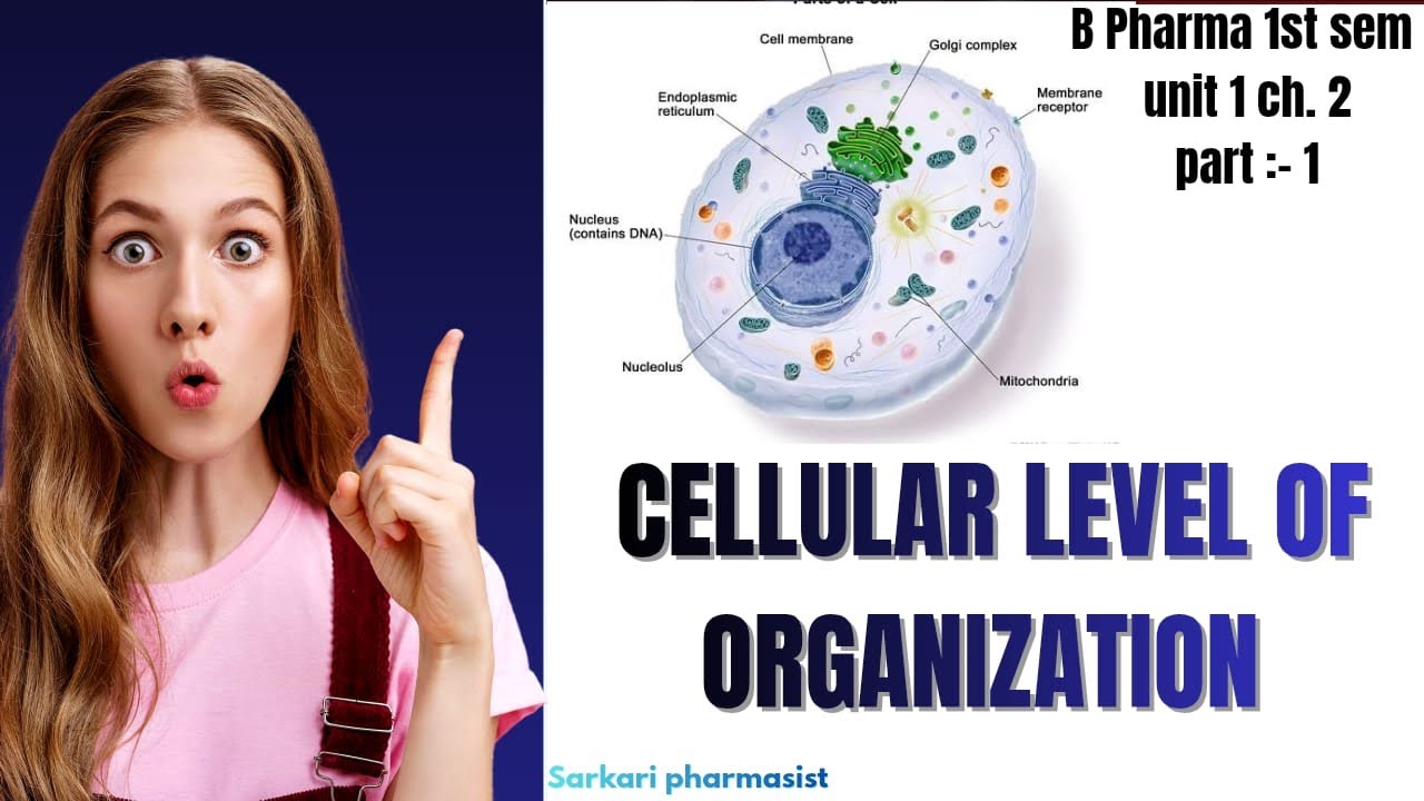 Cellular level of organization ||B Pharma 1 st sem unit 1st ch. 2 || human anatomy & physiology 