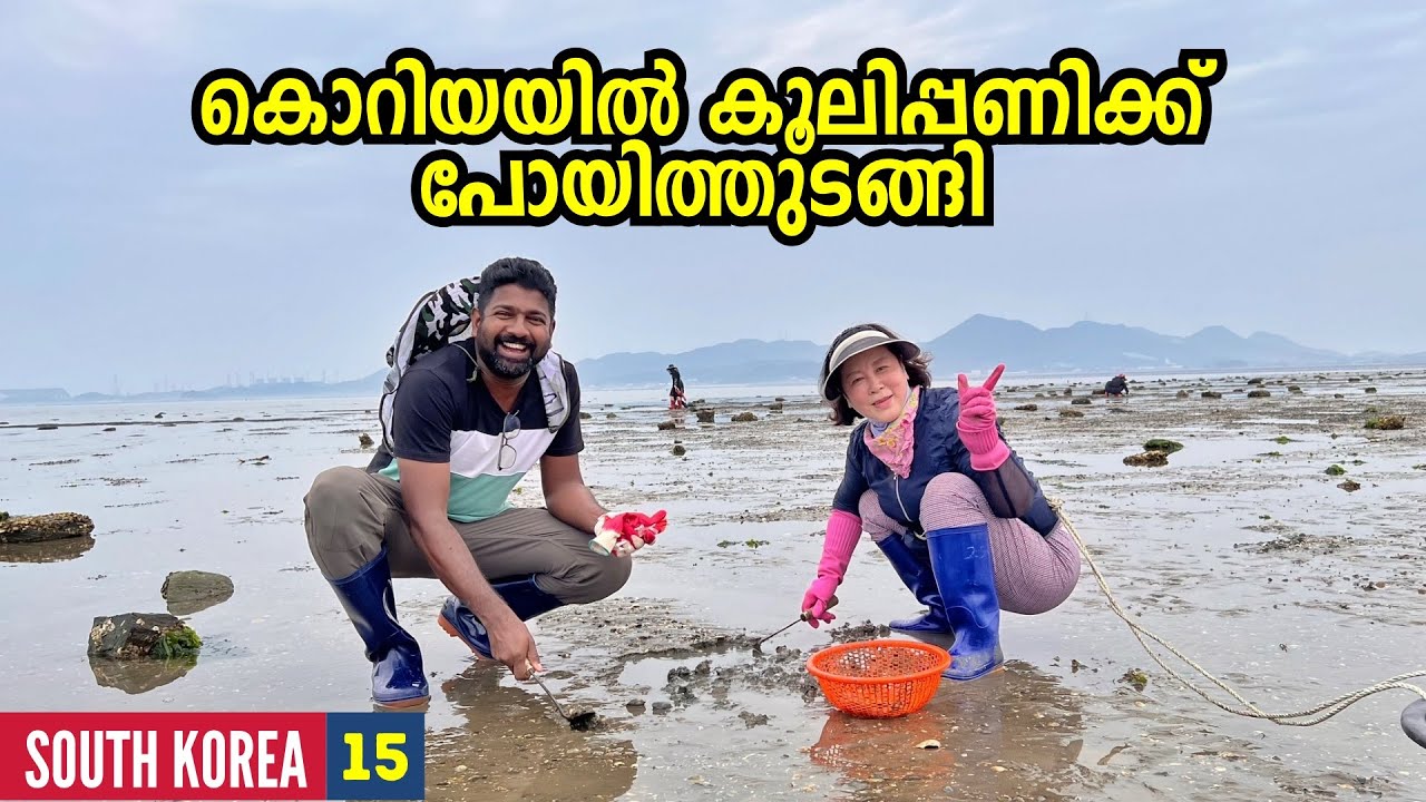 EP🇰🇷15 - കൊറിയയിൽ കൂലിപ്പണിക്ക് പോയിത്തുടങ്ങി! 🦐 South Korean Tourism Sponsored Us!