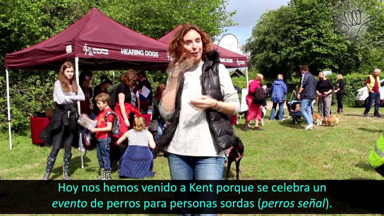 PERROS SEÑAL PARA PERSONAS SORDAS