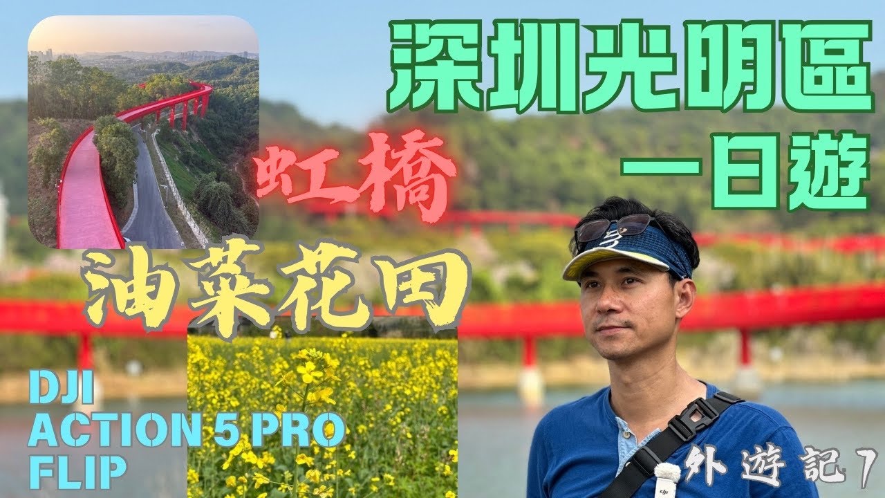 【香港》深圳光明一日遊】油菜花海×乳鴿×虹橋步道！Hea遊一日｜Vlog實測行程｜外遊記7