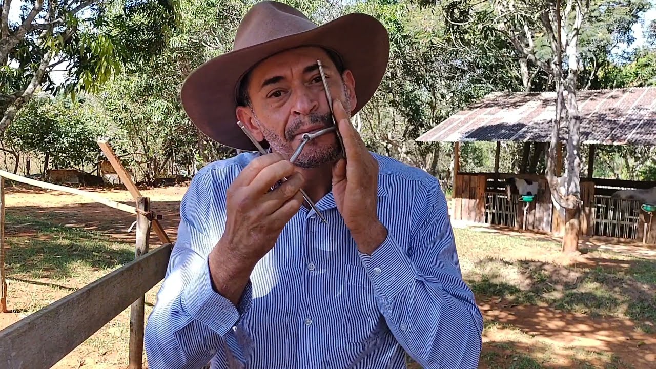 TIPOS DE EMBOCADURA QUE USO NA DOMA DOS MEUS ANIMAIS