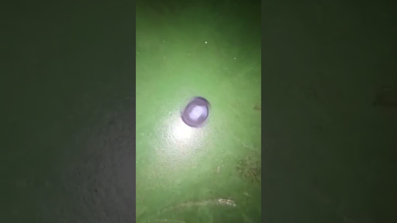 Tak laju pon