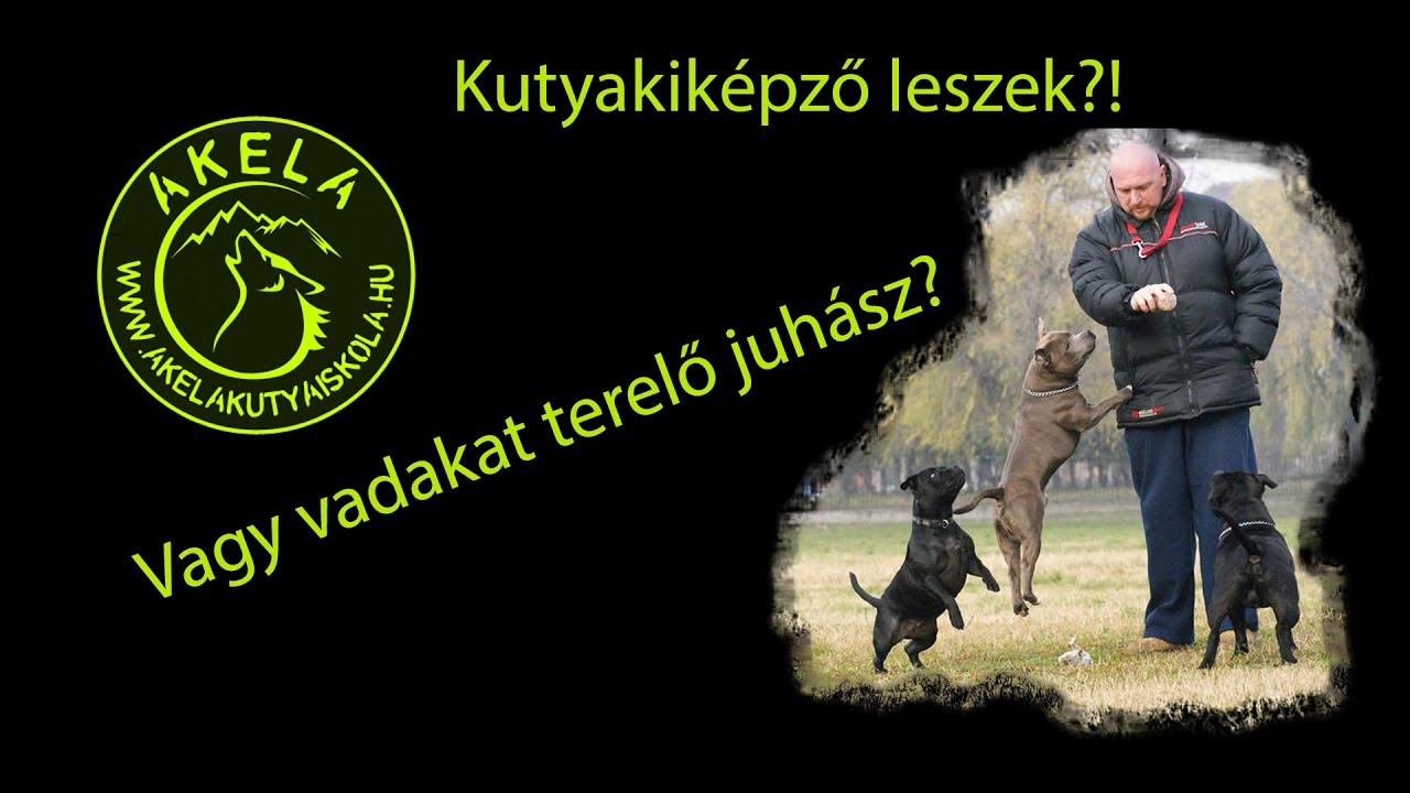 Akela kutyakiképző iskola.