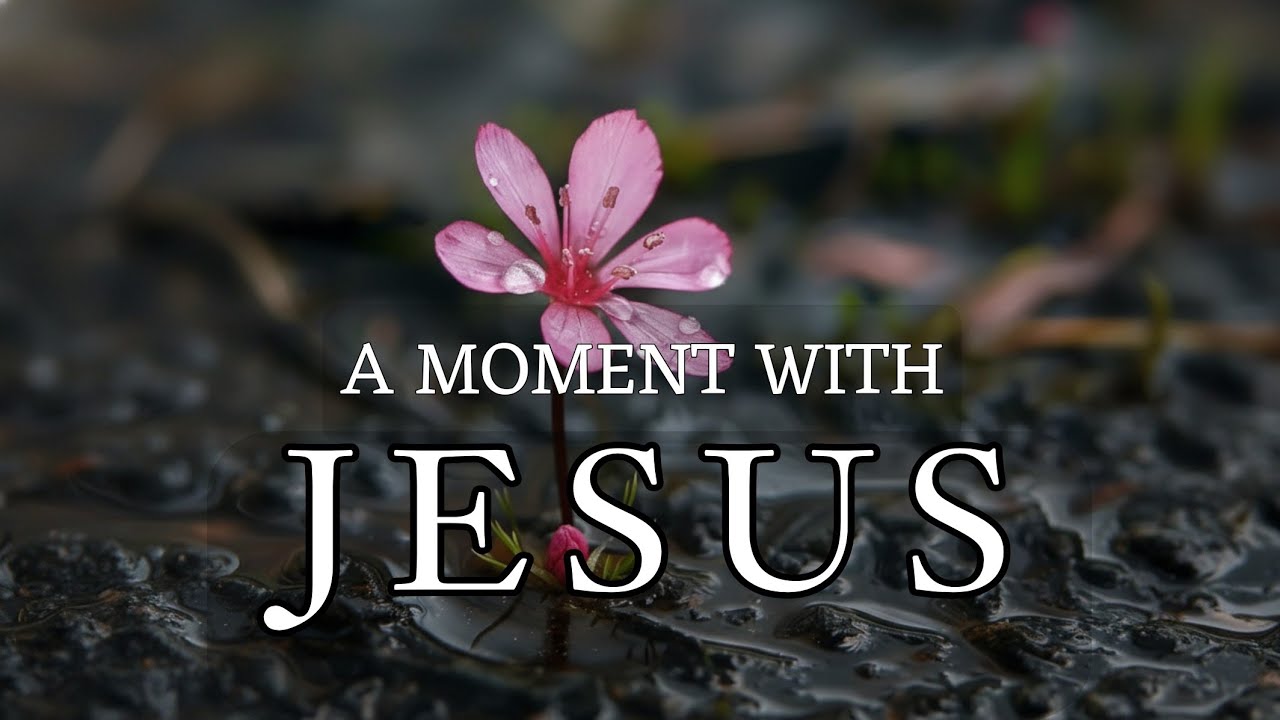 A MOMENT WITH JESUS - Soaking Worship Instrumental | Prayer of Surrender