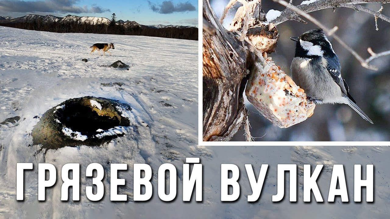 Зимний вулкан и пончики для птиц. Прогулка выходного дня #сахалин #прогулка