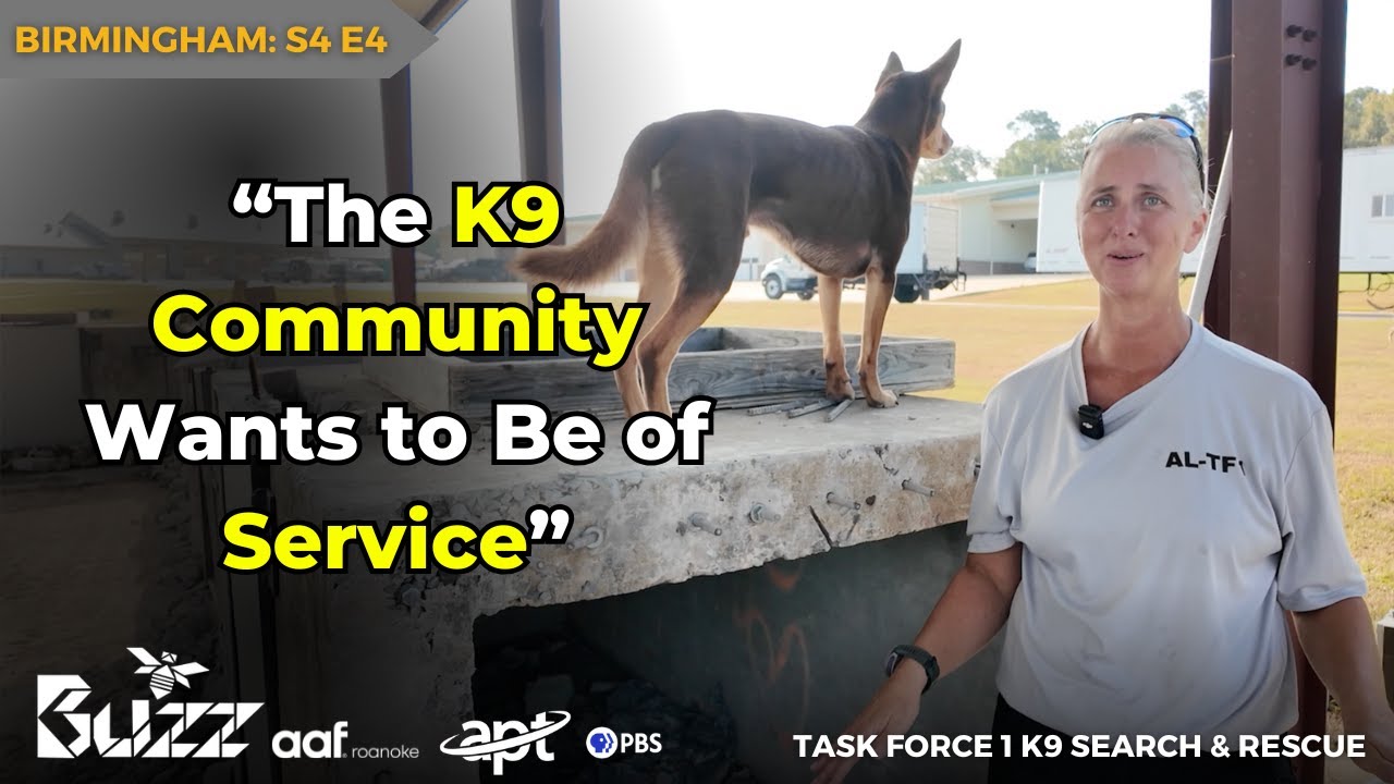 BUZZ stars Alabama Task Force 1 K9 Search/Rescue 