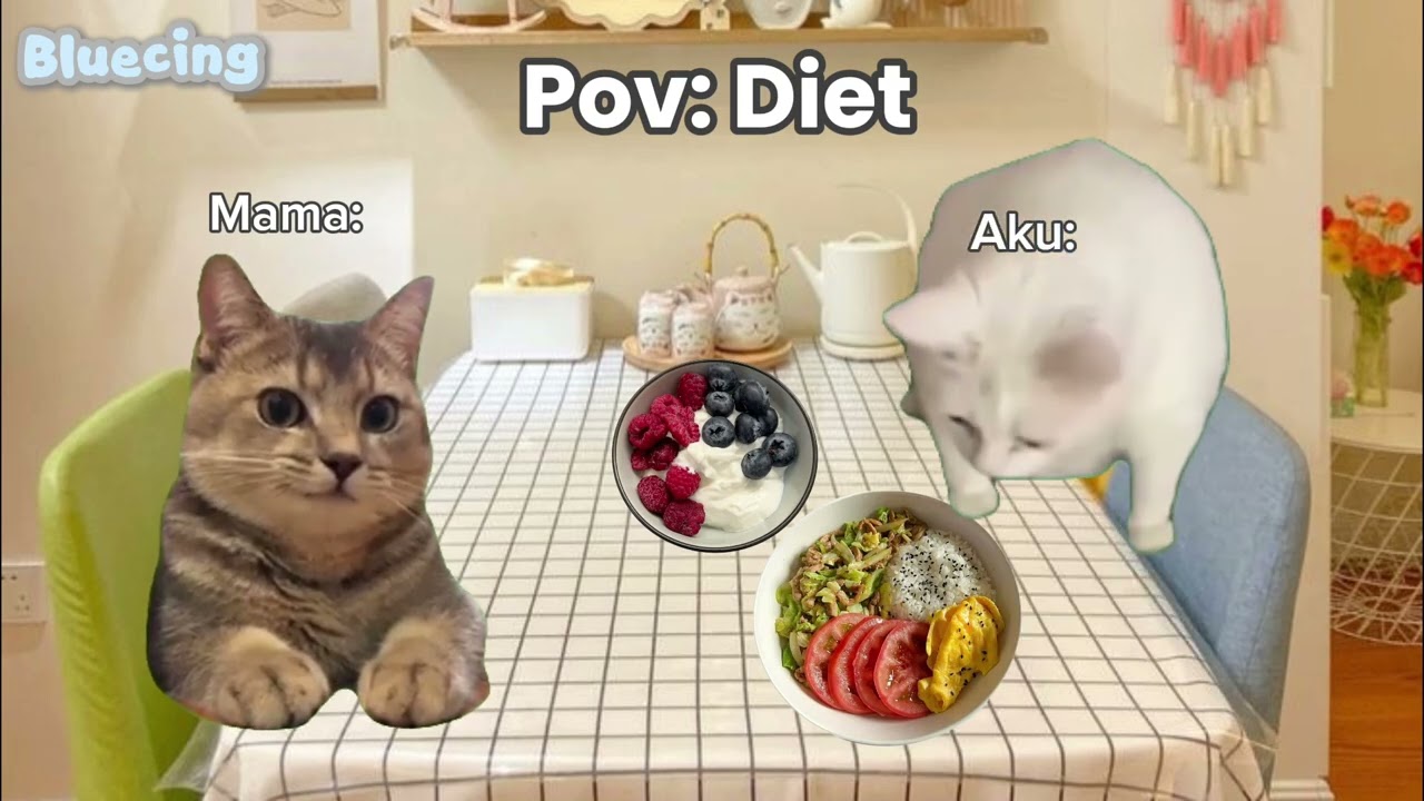 Pov:Diet | Meme kucing | Meme | Memes #meme #pov #video #memes #cat