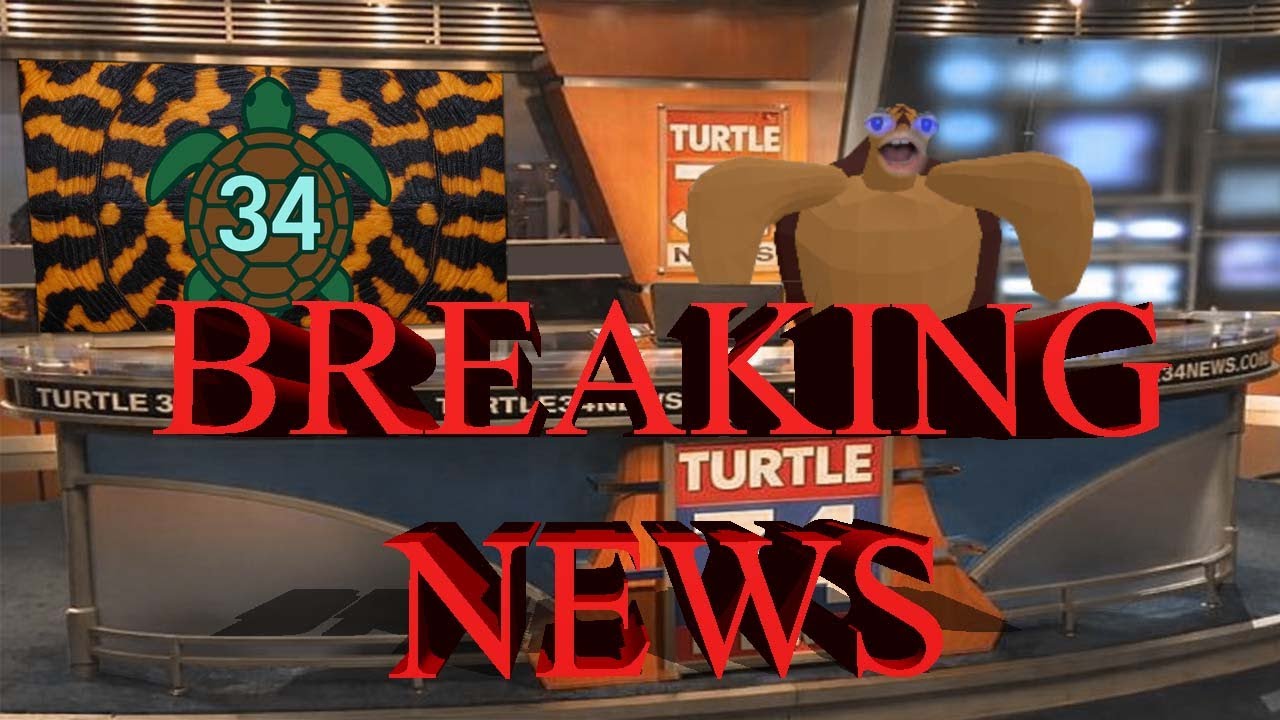 BREAKING NEWS: Birds Invade Buried City!