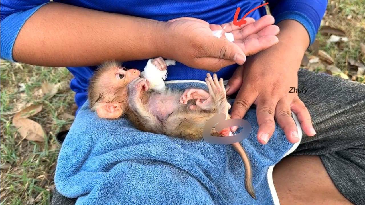 Tryinq Dad Use Baby Cream On Hrt Of Baby Zhuly To Make Her Release From Diaper-Rush