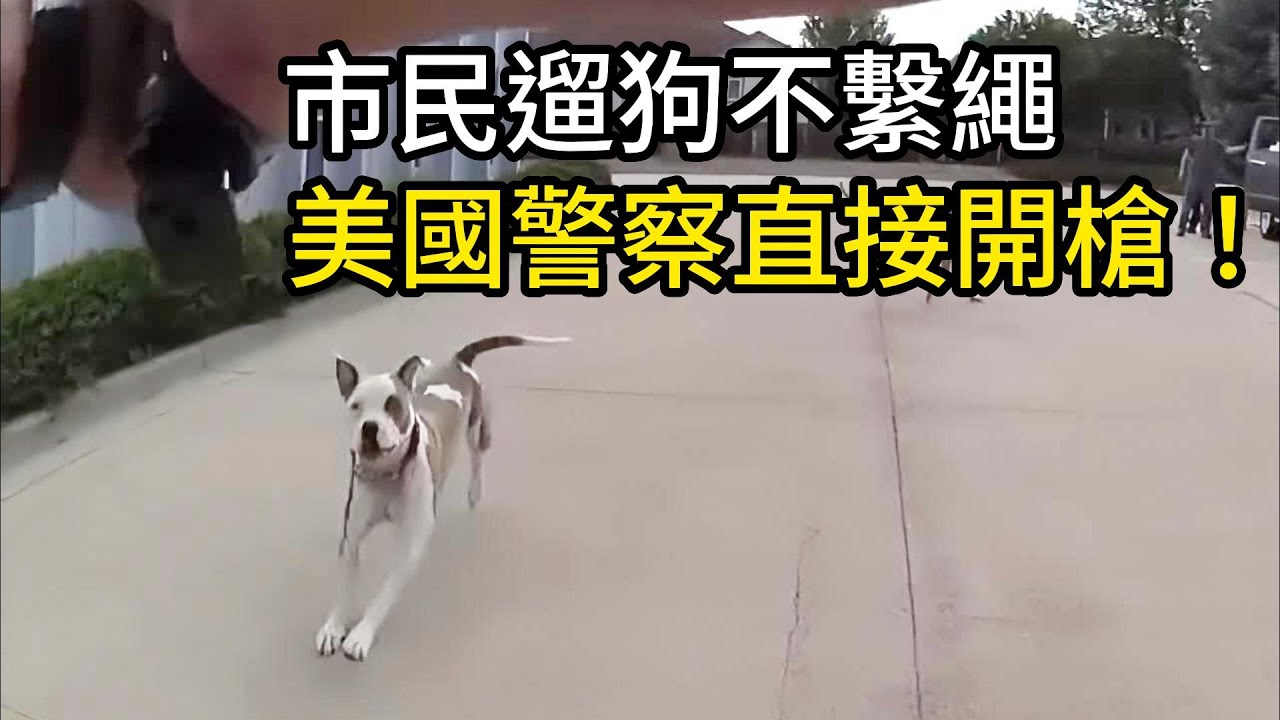 市民遛狗不繫繩，美國警察直接開槍！