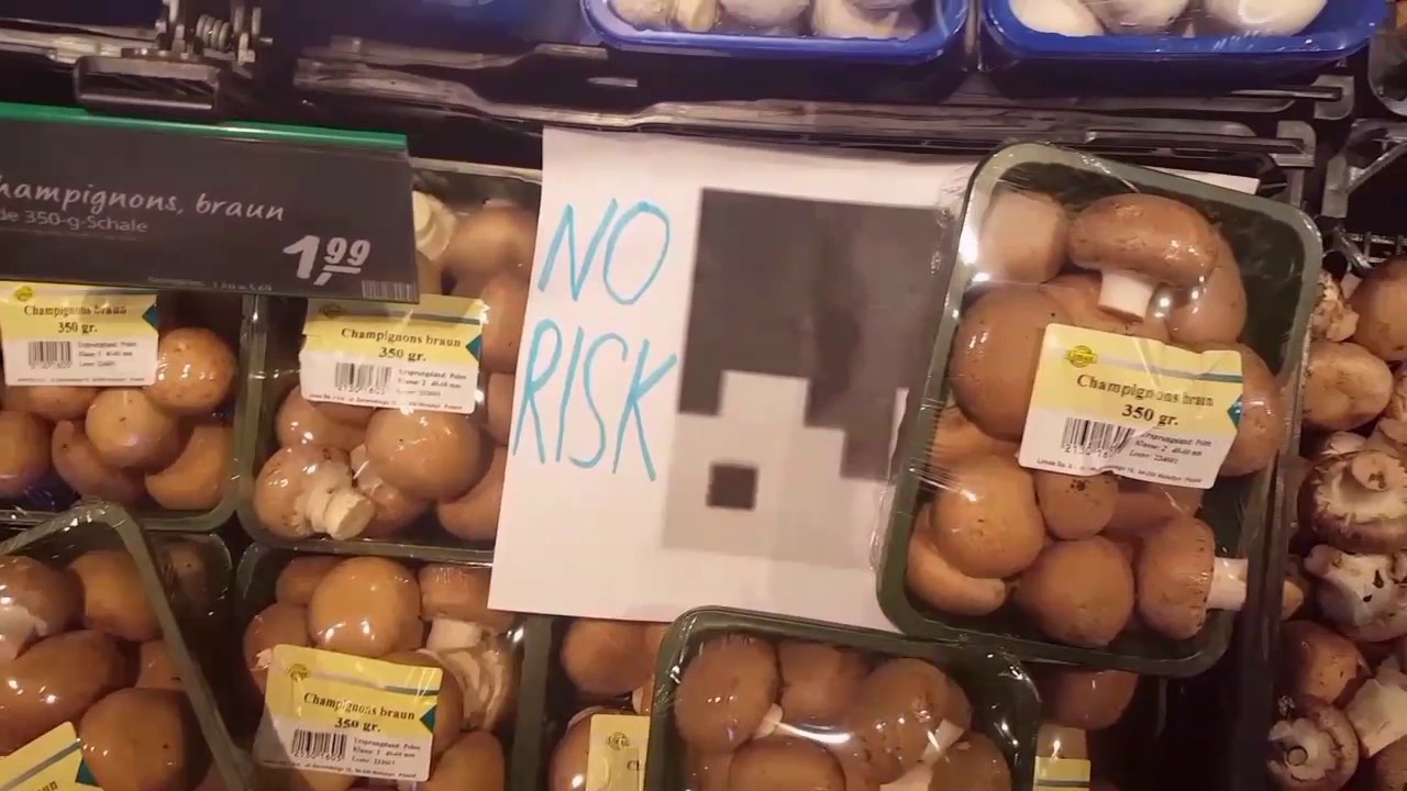 NoRisk Intro 2