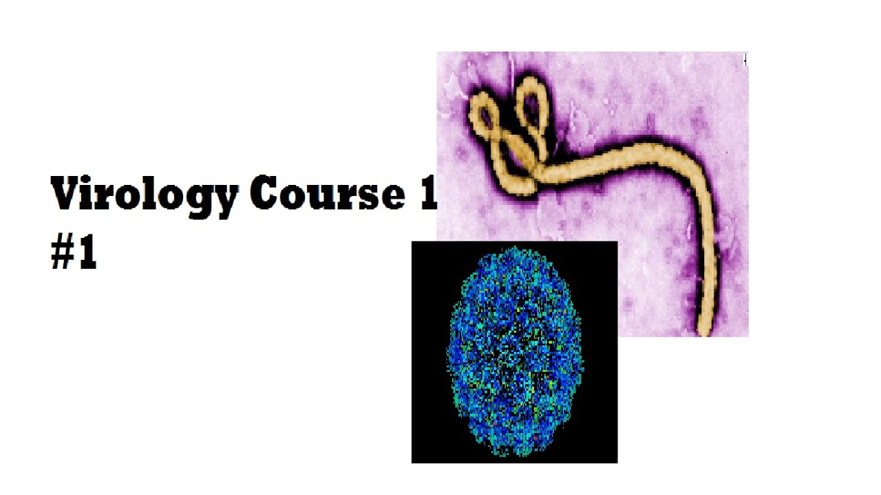 Virology Class #1