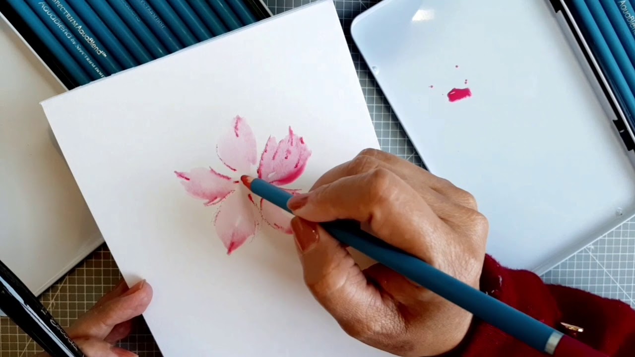 Pintando con lápices acuarelables.