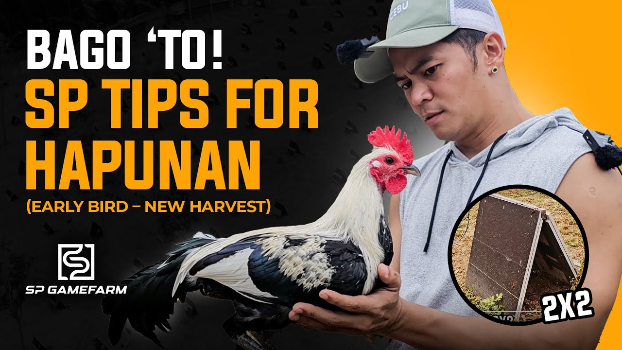 Bago ‘To! SP Tips Sa Hapunan (Early Bird – New Harvest)