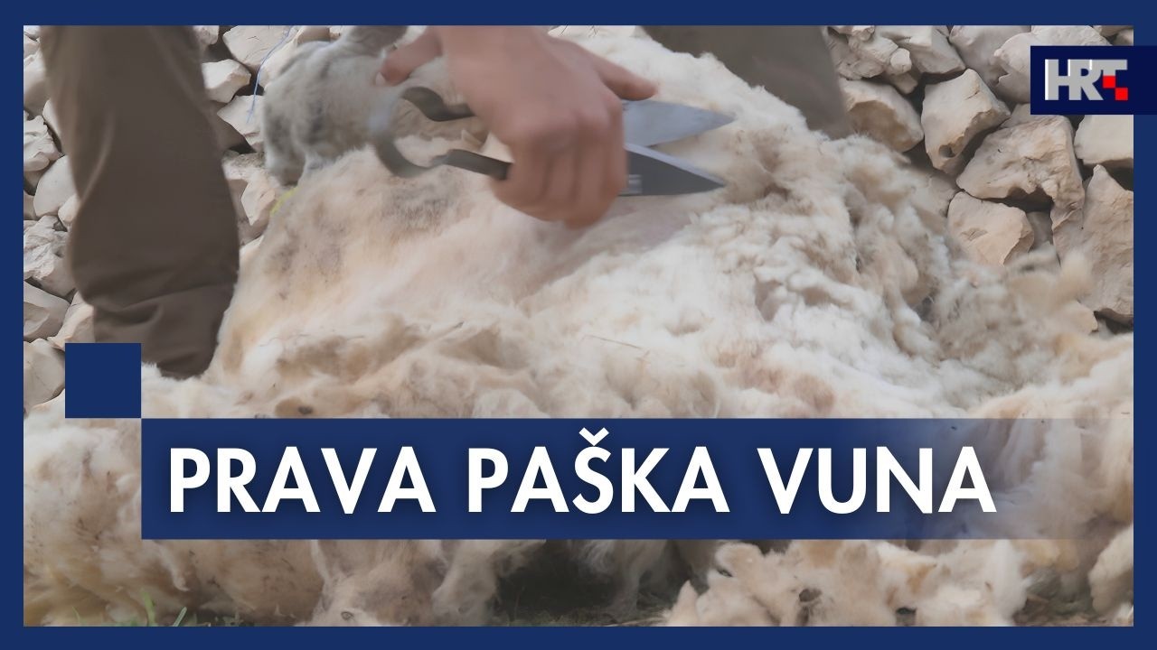 Pa&scaron;ka vuna od otpada do prirodnog resursa