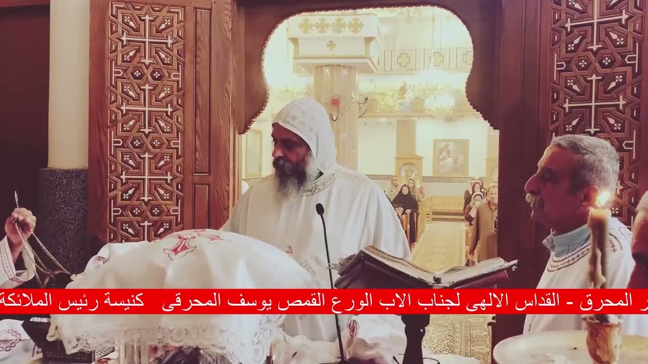 نبض الخدمة