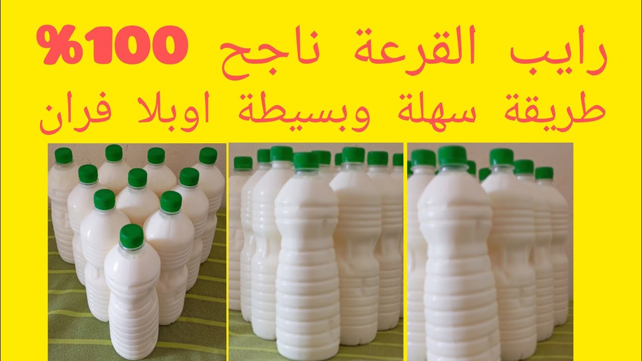 @مشروع الرايب ناجح 100%. طريقة سهلة بسيطة وبلا فران بلا طنجرة الضغط وبكمية كتيرة 30لتر