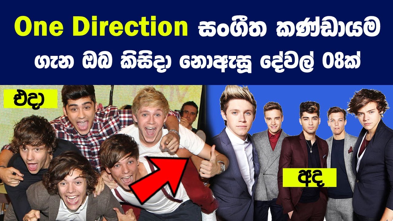 One Direction සංගීත කණ්ඩායම ගැන ඔබ කිසිදා නොඇසූ දේවල් 08ක් | Story Of One Direction Music Band