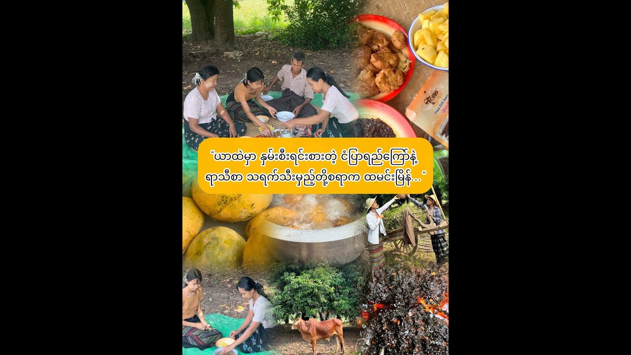 “သရက်သီးမှည့်တို့စရာနဲ့ ယာထဲက နေ့လယ်စာ”