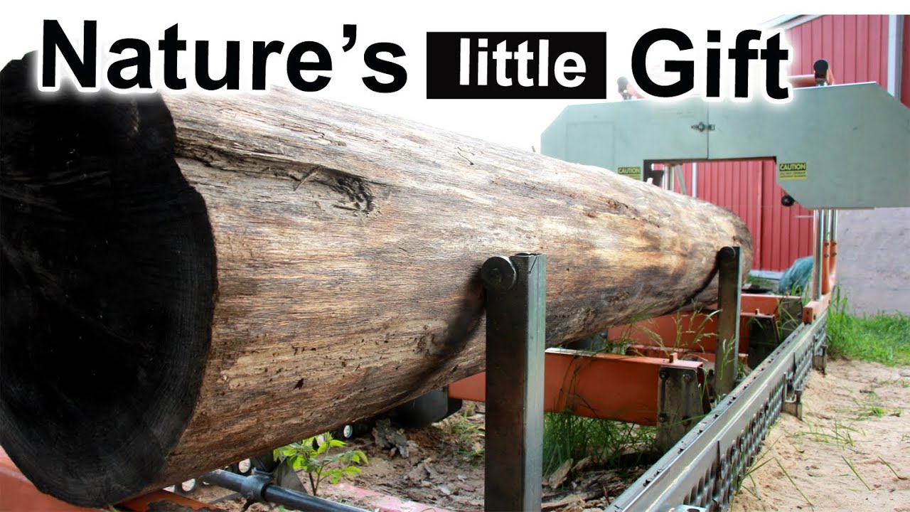 Hunting Medullary Rays in Oak - Slabbing an Oak Log