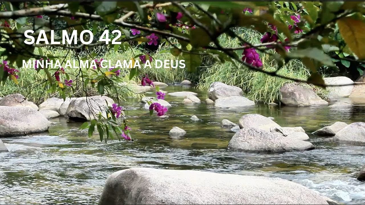 SALMO 42 | MINHA ALMA CLAMA A DEUS 