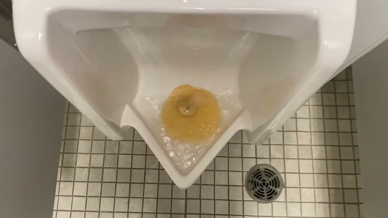 🚽Bathroom tour sink and American standard Washbrook Urinal and Madera toilet 