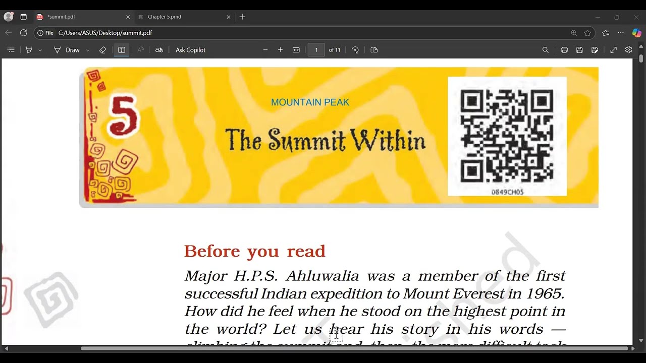 THE SUMMIT WITHIN CLASS 8 ENGLISH MALAYALAM EXPLANATION