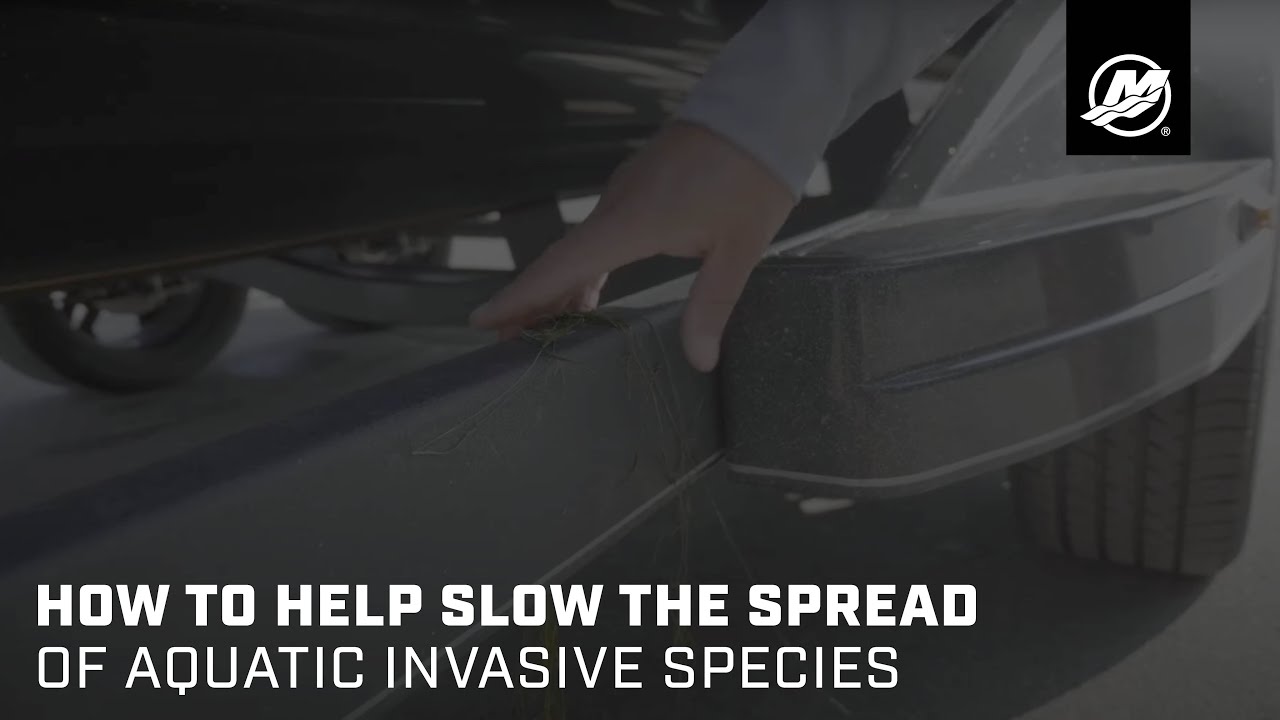 How to Help Slow the Spread of Aquatic Invasive Species