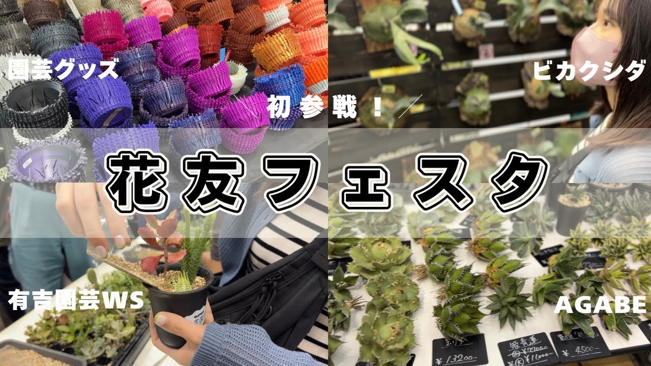 【最大級？！】花友フェスタに初参戦したけど規模に圧倒された…│花友フェスタ2025│幕張メッセ│植物イベント│有吉園芸