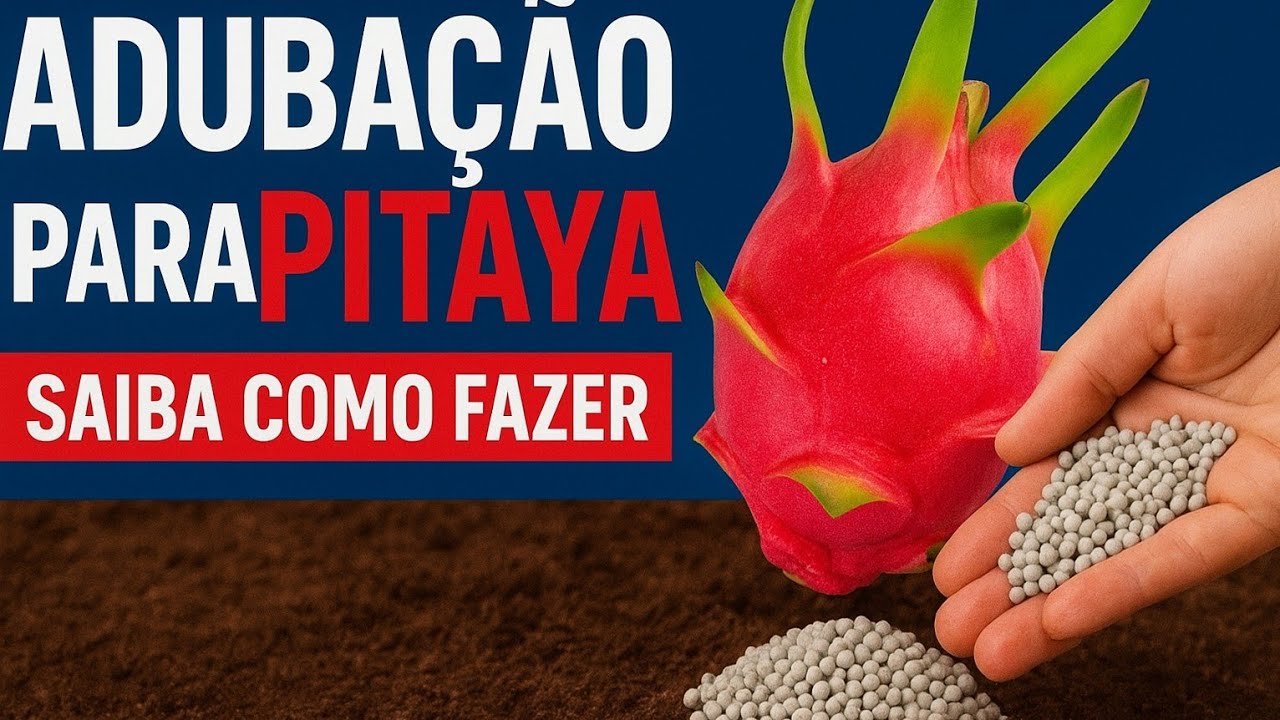 Adubação para Pitaya| Saiba como fazer