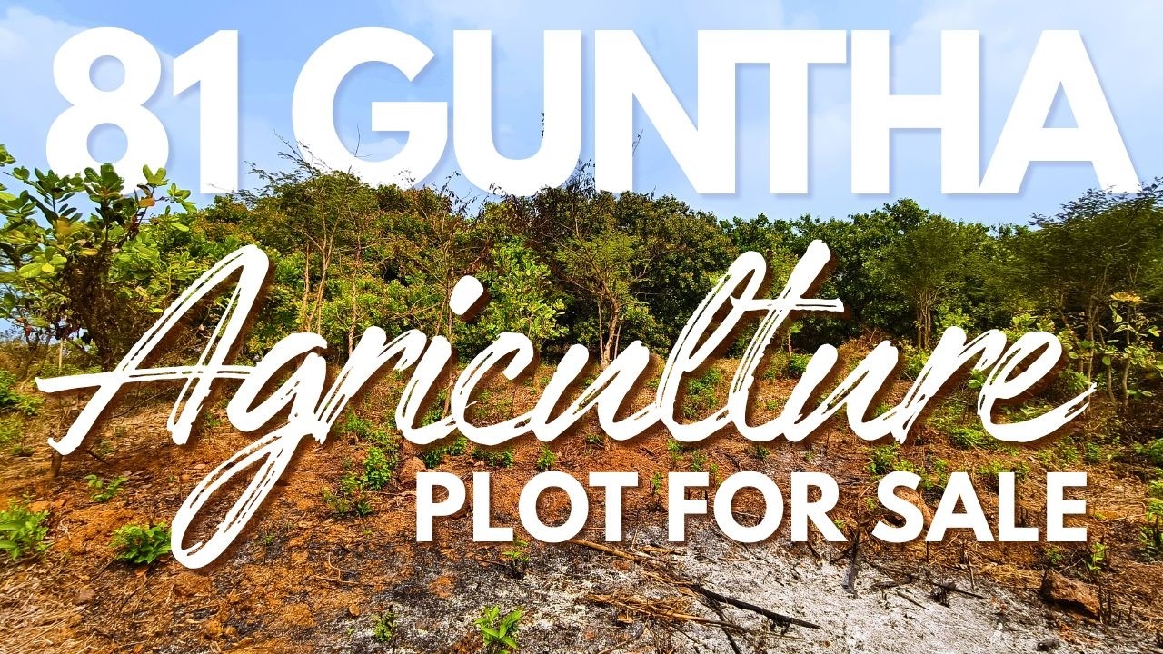 🌿🥭 81 Guntha Premium Agricultural Plot for Sale in Kondye, Lanja 🥭🌿 #konkanpropertyexpo  #property