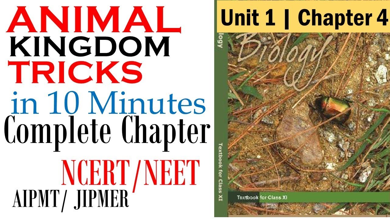 Animal kingdom class 11 neet | Animal kingdom tricks from NCERT biology class 11