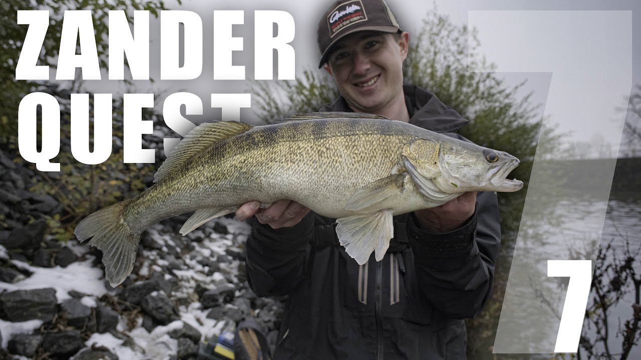 La NEIGE rend complètement FOUS les SANDRES (Zander Quest 7)