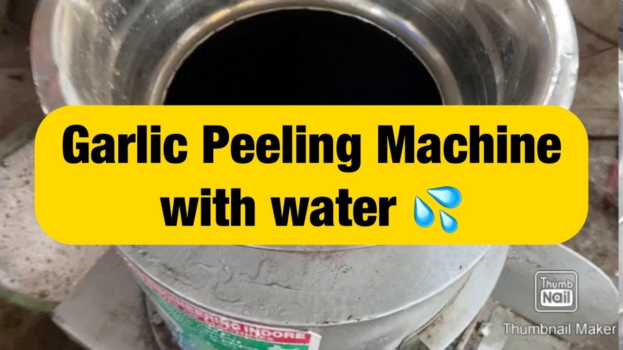 Garlic Peeling Machine with water 💦   ☎️ 93292 05352