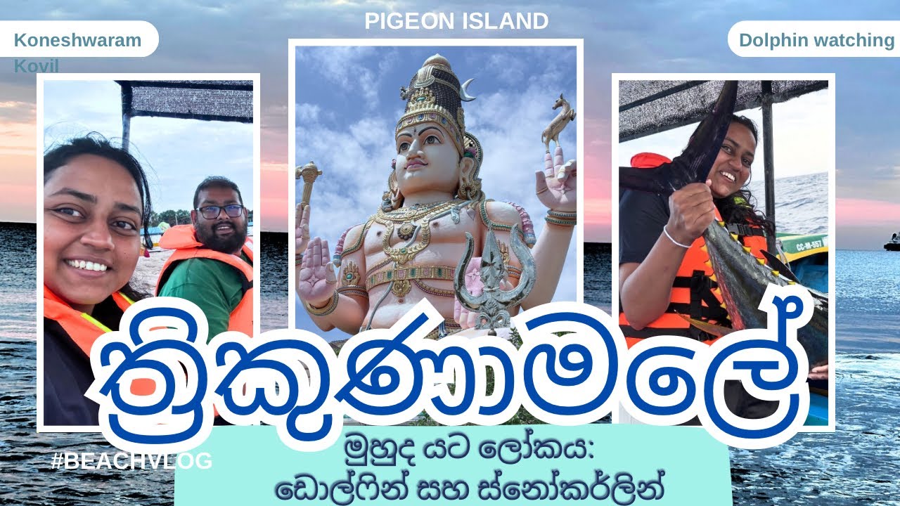 ත්‍රිකුණාමලේ මුහුද යට ලෝකය: ඩොල්ෆින් සහ ස්නෝකර්ලින් (Trincomalee's underwater world: Dolphins etc )