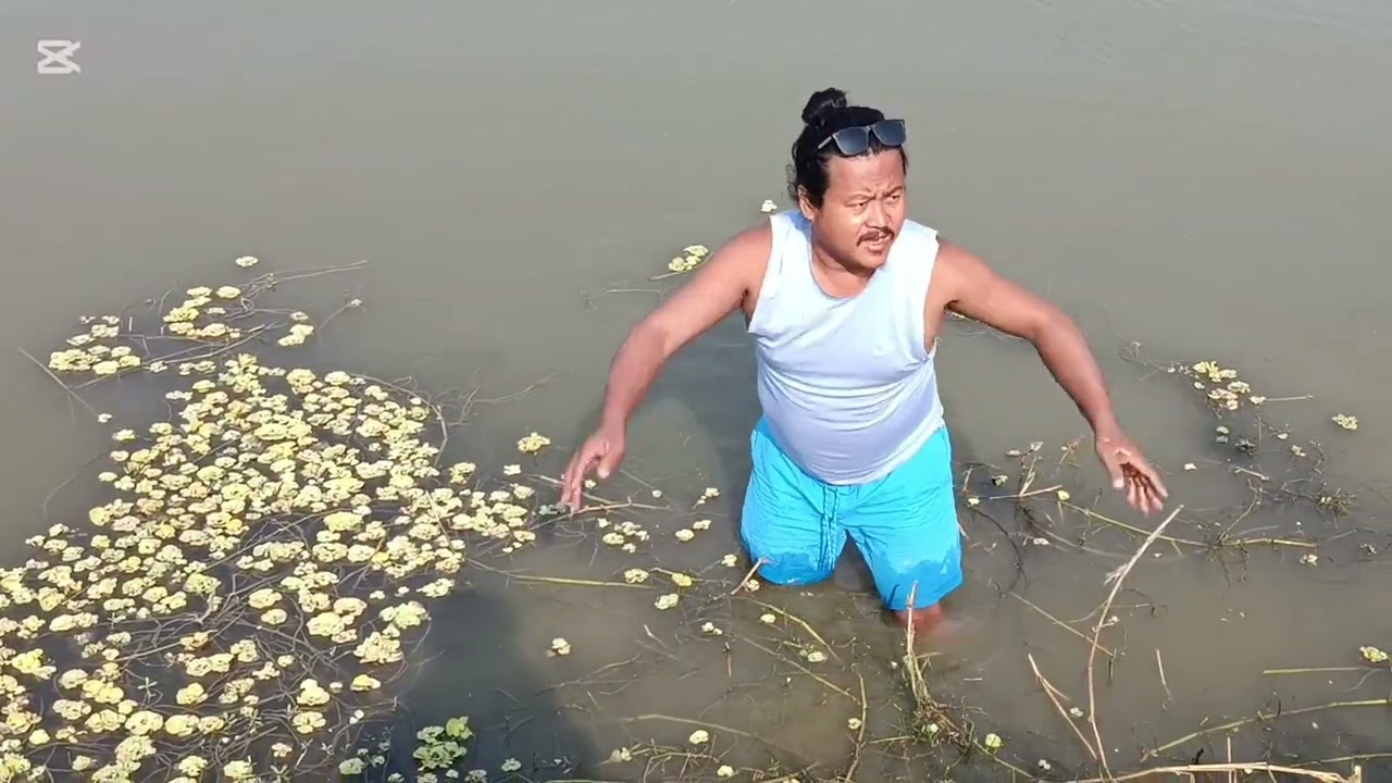 सुङ्गुरलाई चारो टिप्दै पोखरीमा..