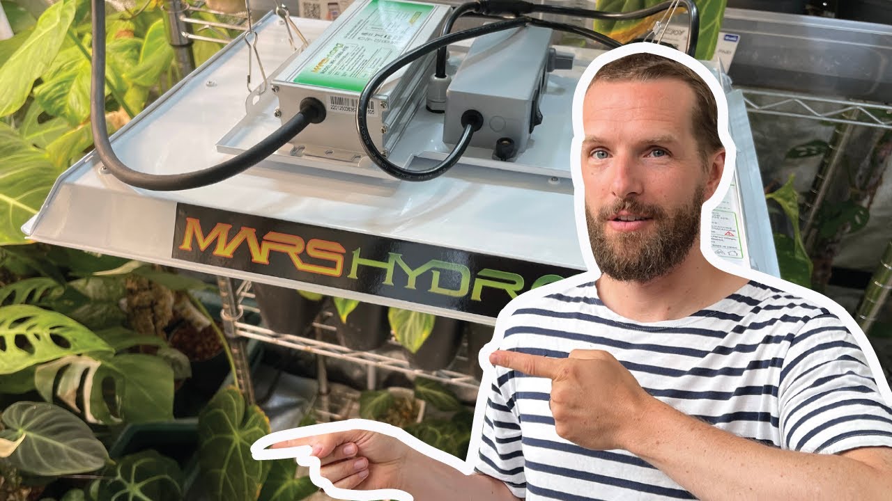 Mars Hydro TS1000 Review -  Why I love this full-spectrum grow-light