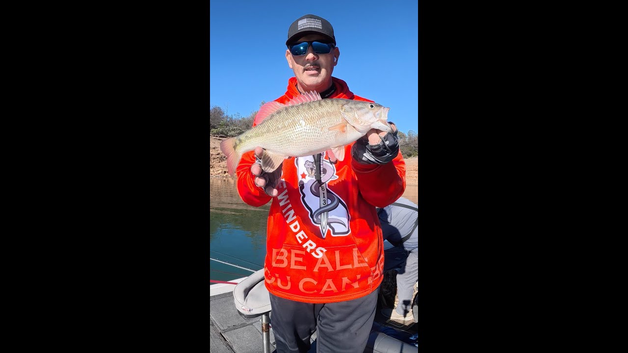 Lake Oroville Pre Fish for Upcoming Tourney