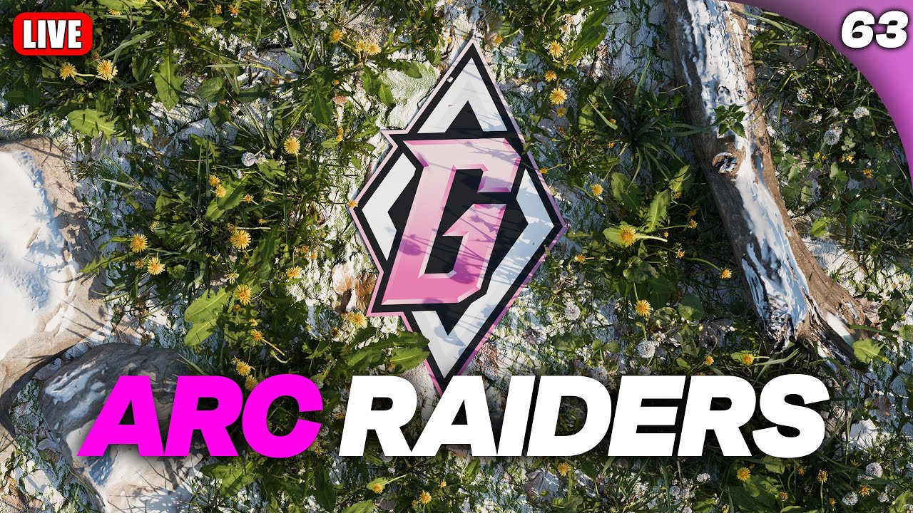 Community Raids!! | Chill Vibes