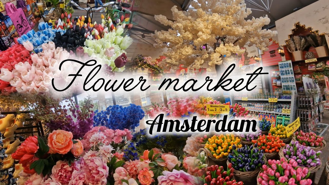 Walking Through Amsterdam's Famous Floating Flower Market | Bloemenmarkt 2025