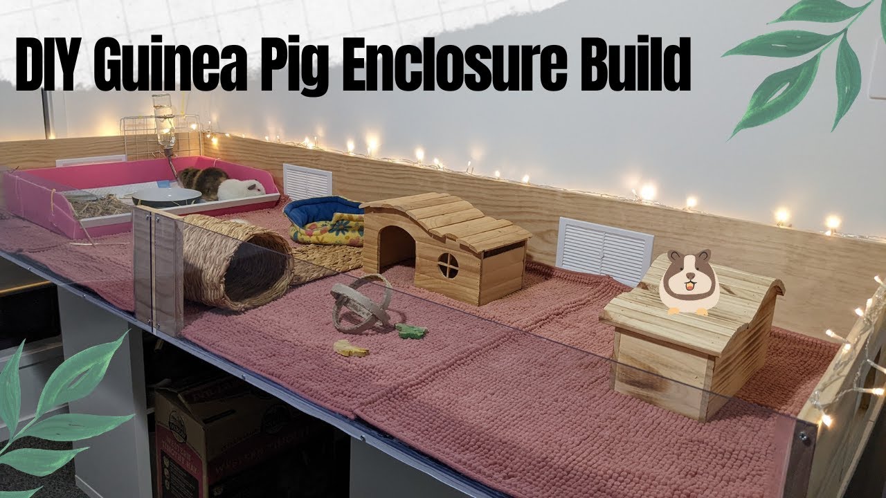 How to build a simple and cute indoor guinea pig enclosure out of timber (easy DIY)