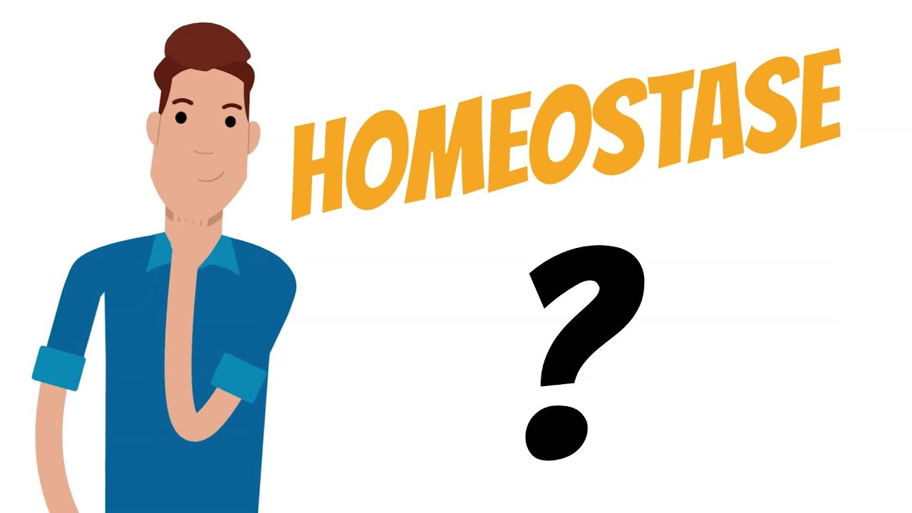 O que &eacute; HOMEOSTASE?