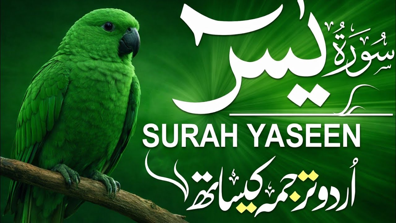 Surah Yasin☘️(Surah yasin)with Beautiful Voice HD/with Hindi and urdu translation 