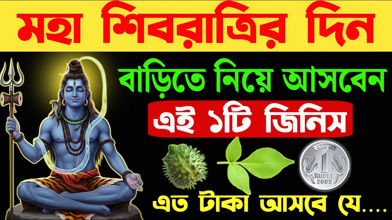 শিবরাত্রির দিন বাড়িতে নিয়ে আসবে এই ১টি জিনিস। এত টাকা আসবে যে...