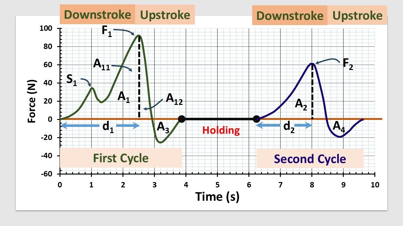 Instrumental Texture Profile Analysis (TPA) of Foods: Basic Understanding