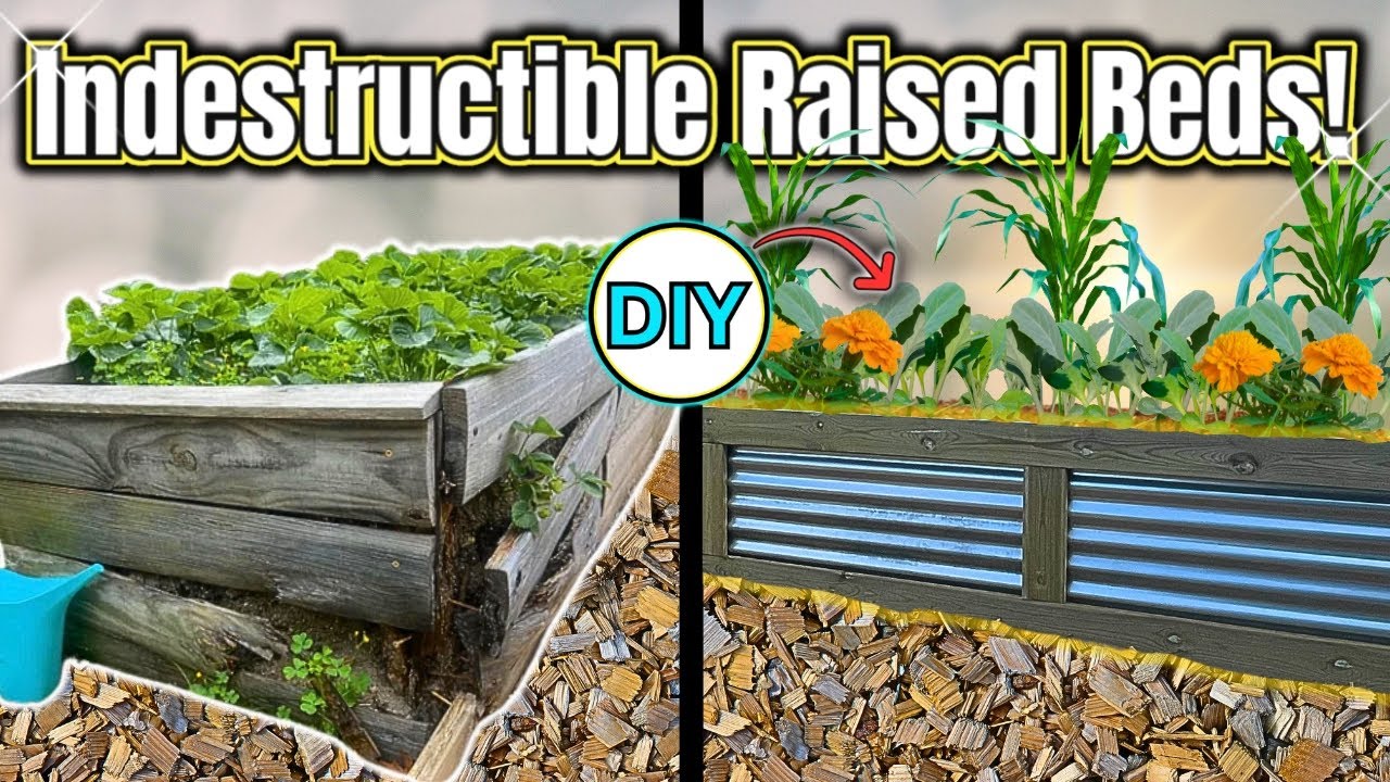 DIY Raised Beds That NEVER Rot!